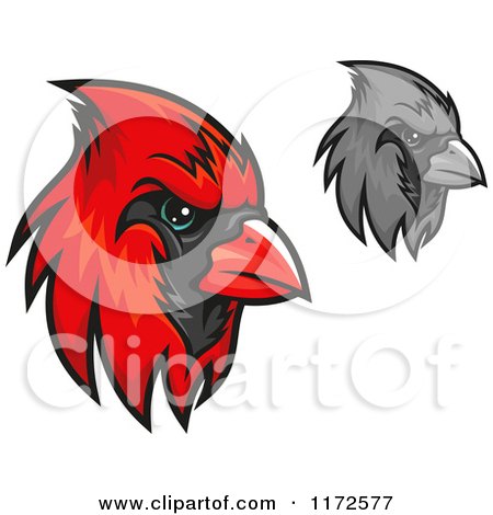 Clipart of Grayscale and Red Cardinal Heads - Royalty Free Vector Illustration by Vector Tradition SM
