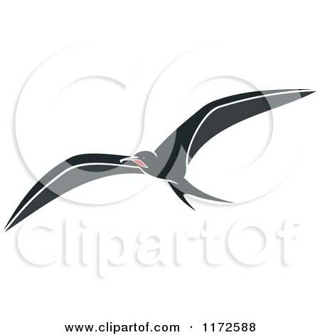 Clipart of a Flying Albatross Bird - Royalty Free Vector Illustration by Vector Tradition SM
