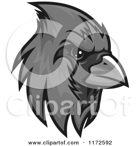 Clipart of a Grayscale Cardinal Head - Royalty Free Vector Illustration by Vector Tradition SM