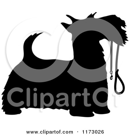 Cartoon of a Silhouetted Scotty Dog with a Leash in His Mouth - Royalty Free Vector Clipart by Maria Bell