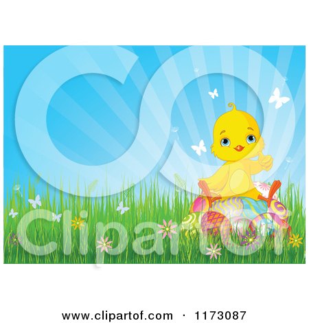 Cartoon of a Cute Yellow Easter Chick Sitting on Eggs in Grass Against Blue Sky - Royalty Free Vector Clipart by Pushkin