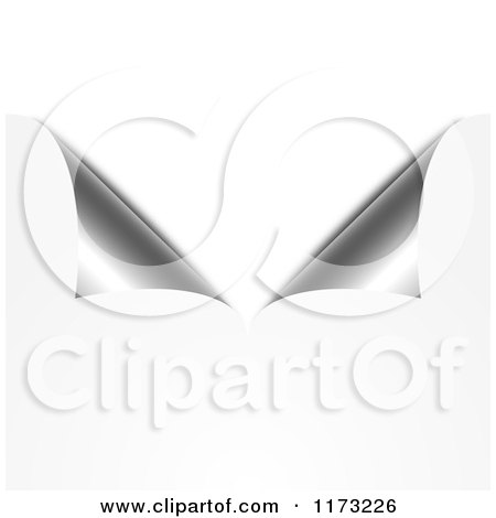 Clipart of 3d Split Curling White and Silver Page Corners - Royalty Free Vector Illustration by vectorace