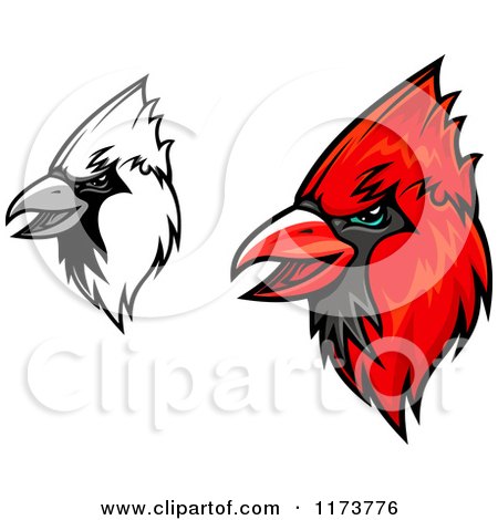 Clipart of Grayscale and Red Cardinal Heads 2 - Royalty Free Vector Illustration by Vector Tradition SM