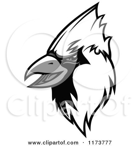 Clipart of a Grayscale Cardinal Head 2 - Royalty Free Vector Illustration by Vector Tradition SM