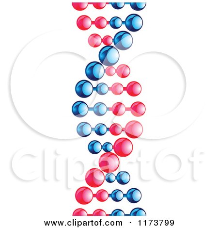 Clipart of a Blue and Pink DNA Strand - Royalty Free Vector Illustration by Vector Tradition SM