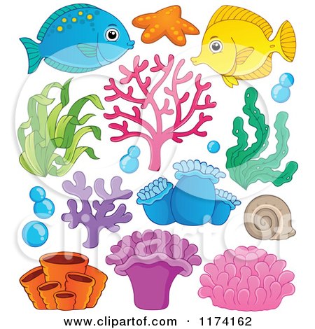 Cartoon of a Marine Fish Corals Plants and Anemones - Royalty Free Vector Clipart by visekart