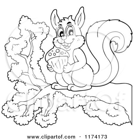 Cartoon of a Cute Black and White Squirrel Holding an Acorn on a Branch - Royalty Free Vector Clipart by visekart