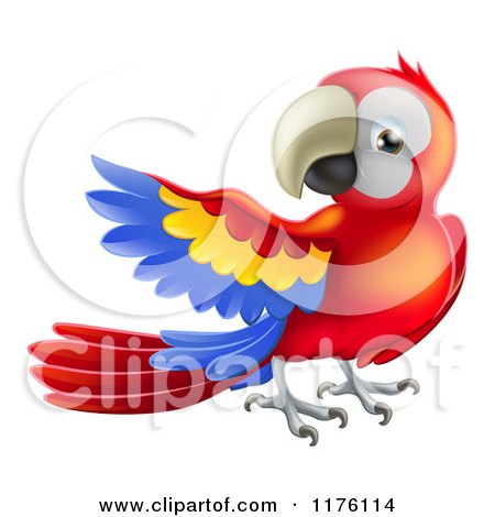 Cartoon of a Presenting Scarlet Macaw Parrot - Royalty Free Vector Clipart by AtStockIllustration