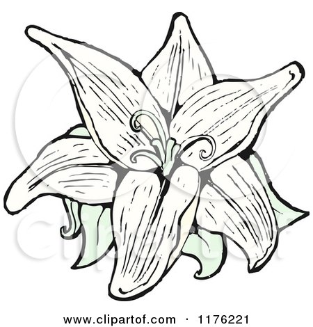 Cartoon of a Lily - Royalty Free Vector Illustration by lineartestpilot