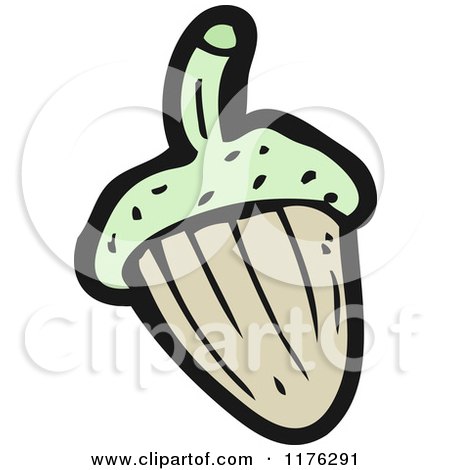 Cartoon of an Acorn - Royalty Free Vector Illustration by lineartestpilot