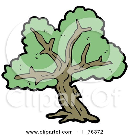 Cartoon of a Tree - Royalty Free Vector Illustration by lineartestpilot