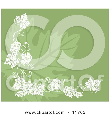 Grapevine Accent Over a Grape Leaf on Green Clipart Illustration by AtStockIllustration