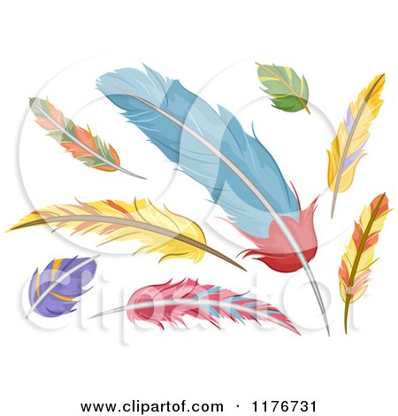 Cartoon of Colorful Feathers - Royalty Free Vector Clipart by BNP Design Studio