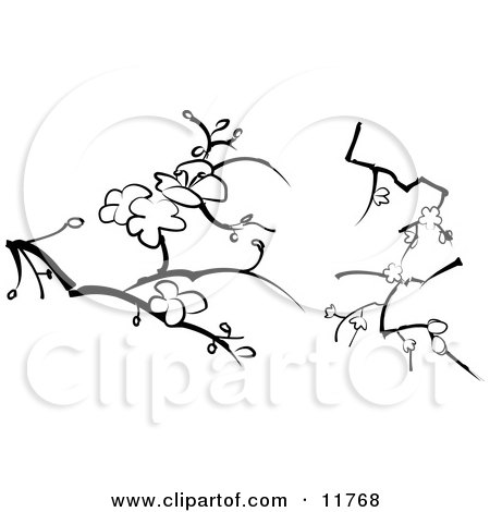 Blossoms on Branches Designs Clipart Illustration by AtStockIllustration