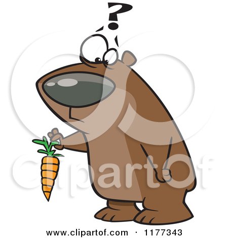 Cartoon of a Confused Bear Holding a Carrot - Royalty Free Vector Clipart by toonaday