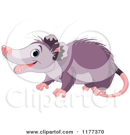 Cartoon of a Cute Opossum Smiling - Royalty Free Vector Clipart by Pushkin