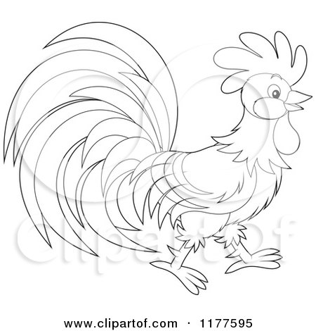 Cartoon of a Black and White Rooster in Profile - Royalty Free Vector Clipart by Alex Bannykh