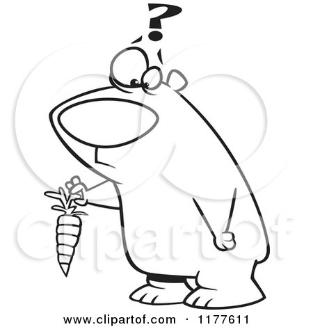 Cartoon of an Outlined an Outlined Confused Bear Holding a Carrot - Royalty Free Vector Clipart by toonaday