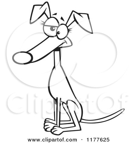 Cartoon of an Outlined an Outlined Sitting Female Greyhound Dog - Royalty Free Vector Clipart by toonaday