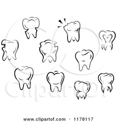 Clipart of Black and White Molar Teeth - Royalty Free Vector Illustration by Vector Tradition SM