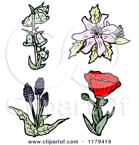 Clip Art of Wildflowers - Royalty Free Vector Illustration by lineartestpilot