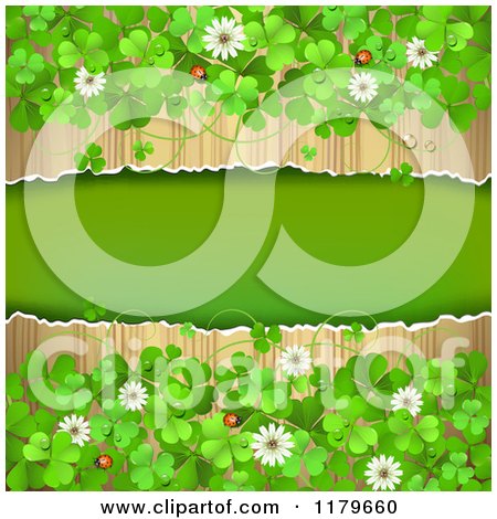 Clipart of a Torn Wood Background with Clovers Flowers and Ladybugs - Royalty Free Vector Illustration by merlinul