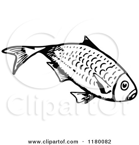 Clipart of a Black and White Fish 10 - Royalty Free Vector Illustration by Prawny Vintage