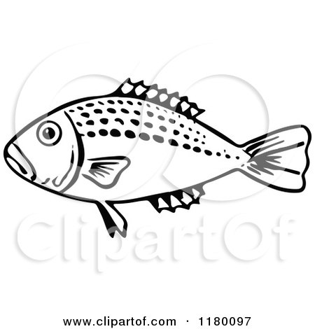 Clipart of a Black and White Fish 8 - Royalty Free Vector Illustration by Prawny Vintage