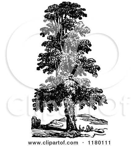 Clipart of a Retro Vintage Black and White Tree 2 - Royalty Free Vector Illustration by Prawny Vintage