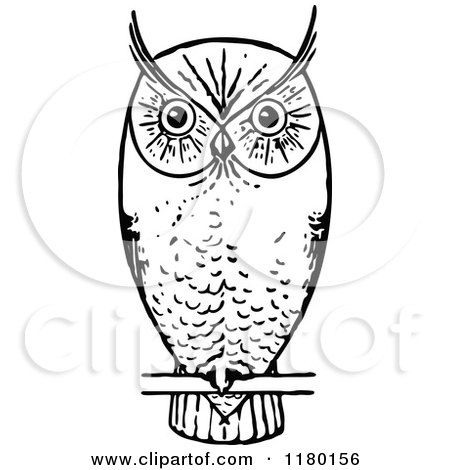 Clipart of a Retro Vintage Black and White Owl Perched - Royalty Free Vector Illustration by Prawny Vintage