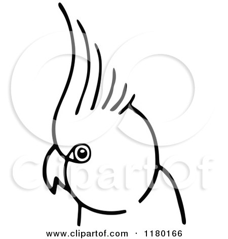 Clipart of a Black and White Parrot - Royalty Free Vector Illustration by Prawny Vintage