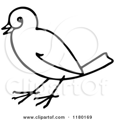 Clipart of a Black and White Sketched Bird 4 - Royalty Free Vector Illustration by Prawny Vintage