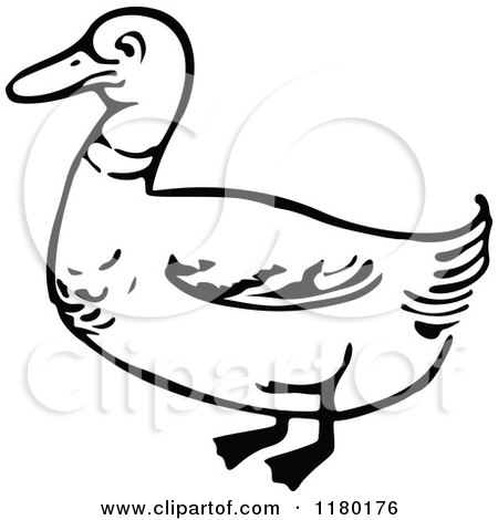 Clipart of a Black and White Duck - Royalty Free Vector Illustration by Prawny Vintage