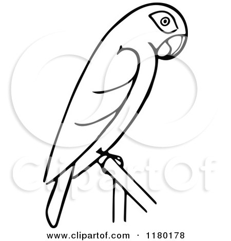 Clipart of a Black and White Perched Parrot - Royalty Free Vector Illustration by Prawny Vintage