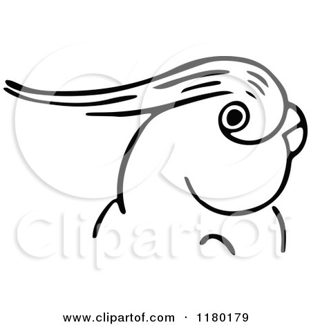 Clipart of a Black and White Parrot 2 - Royalty Free Vector Illustration by Prawny Vintage