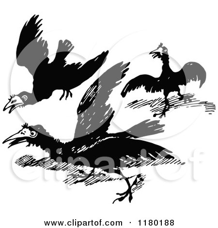 Clipart of Retro Vintage Black and White Crows - Royalty Free Vector Illustration by Prawny Vintage