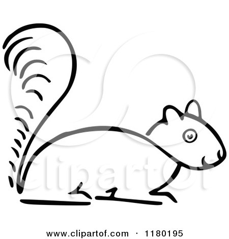 Clipart of a Black and White Sketched Squirrel - Royalty Free Vector Illustration by Prawny Vintage