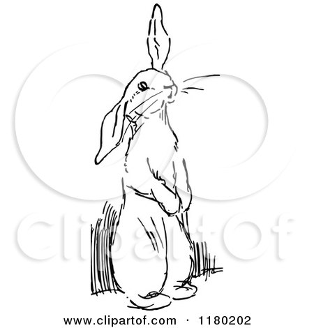 Clipart of a Black and White Rabbit - Royalty Free Vector Illustration by Prawny Vintage