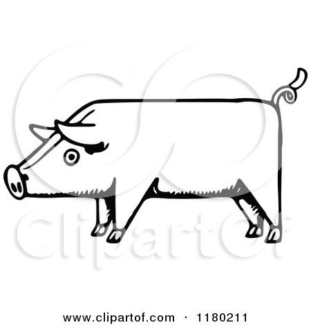 Clipart of a Black and White Sketched Pig - Royalty Free Vector Illustration by Prawny Vintage