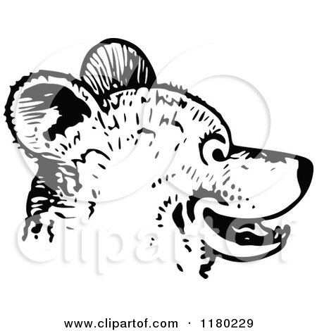 Clipart of a Retro Vintage Black and White Bear Face - Royalty Free Vector Illustration by Prawny Vintage