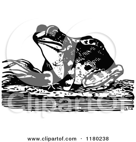 Clipart of a Retro Vintage Black and White Frog - Royalty Free Vector Illustration by Prawny Vintage