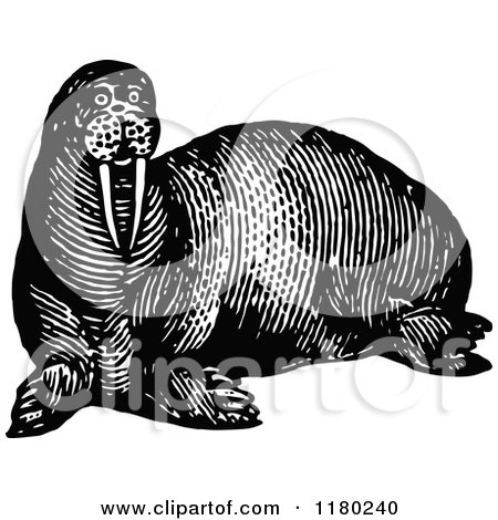 Clipart of a Retro Vintage Black and White Walrus - Royalty Free Vector Illustration by Prawny Vintage