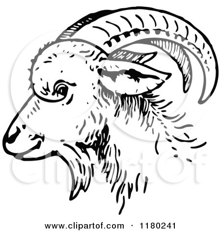 Clipart of a Black and White Goat Head in Profile - Royalty Free Vector Illustration by Prawny Vintage