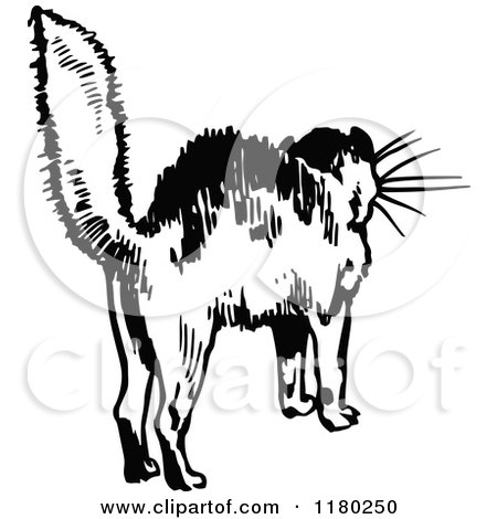Clipart of a Retro Vintage Black and White Scared Cat - Royalty Free Vector Illustration by Prawny Vintage