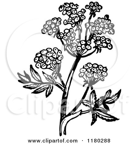 Clipart of a Retro Vintage Black and White Flowering Plant 2 - Royalty Free Vector Illustration by Prawny Vintage