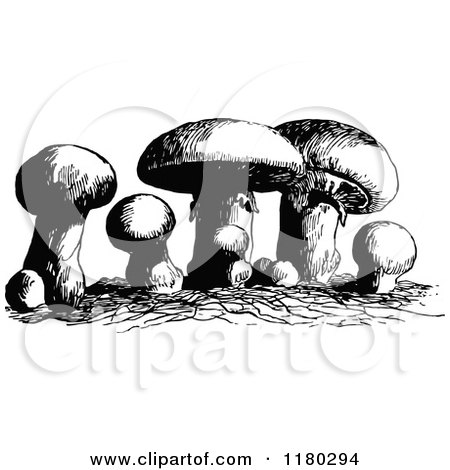 Clipart of Retro Vintage Black and White Mushrooms - Royalty Free Vector Illustration by Prawny Vintage
