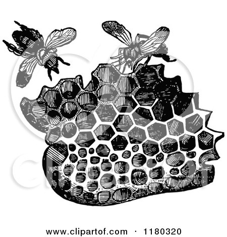 Clipart of a Retro Vintage Black and White Piece of Honeycomb and Bees - Royalty Free Vector Illustration by Prawny Vintage