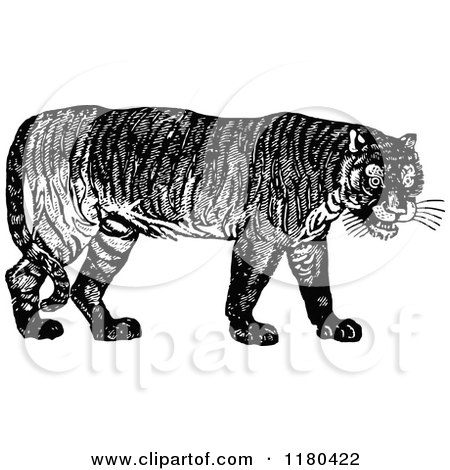 Clipart of a Retro Vintage Black and White Tiger - Royalty Free Vector Illustration by Prawny Vintage