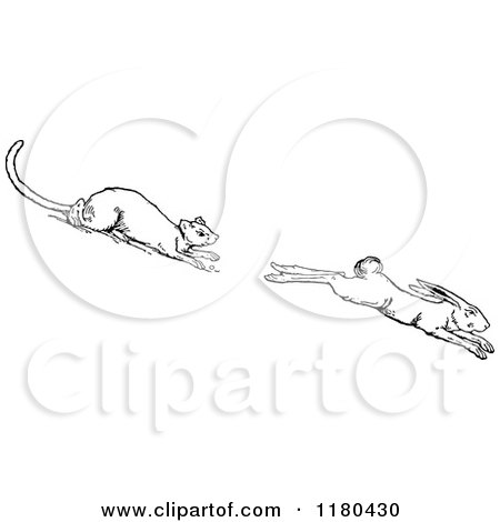 Clipart of a Retro Vintage Black and White Ermine Weasel Chasing a Rabbit - Royalty Free Vector Illustration by Prawny Vintage