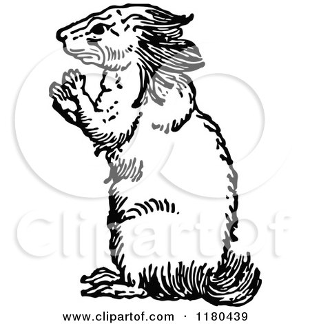 Clipart of a Retro Vintage Black and White Porcupine - Royalty Free Vector Illustration by Prawny Vintage